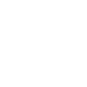 Streaming Devices